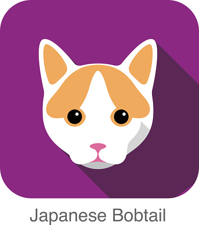 Japanese Bobtail, Cat breed face cartoon flat icon design