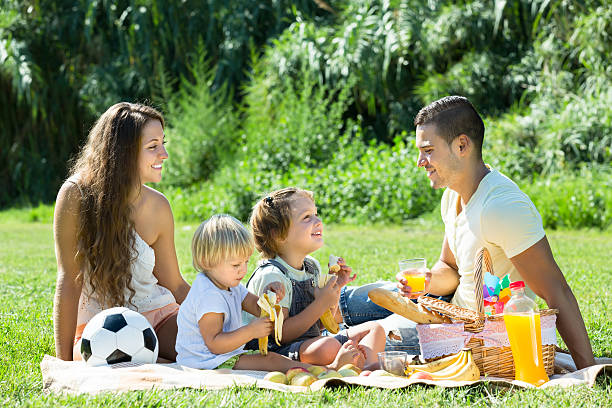 istock Family of four having picnic 538101323