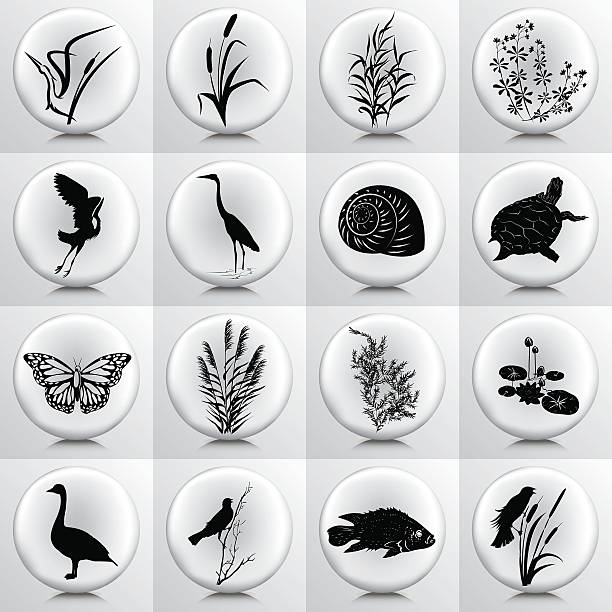 ilustrações de stock, clip art, desenhos animados e ícones de zonas húmidas ícones com plantas de pântano, aves, peixe no botão cinzento - marsh swamp plant water lily