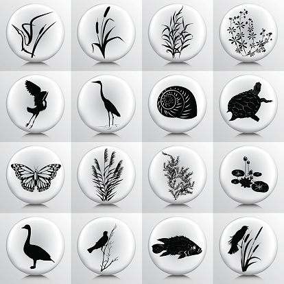 Wetlands Icons With Marsh Plants, Birds, fish On Grey Button