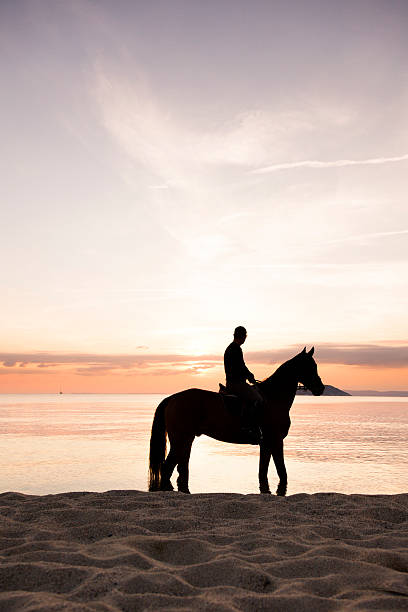 istock Horse Riding at Sunset. Beach. Seaside. 538123367