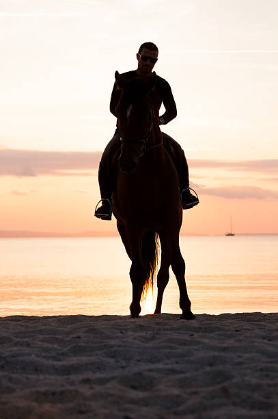 istock Horse Riding at Sunset. Beach. Seaside. 538123379