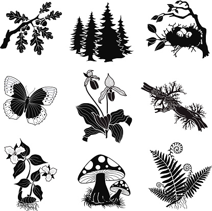 A vector illustration of a forest wildlife illustration set in black and white. An EPS file and a large jpg are included in this download.