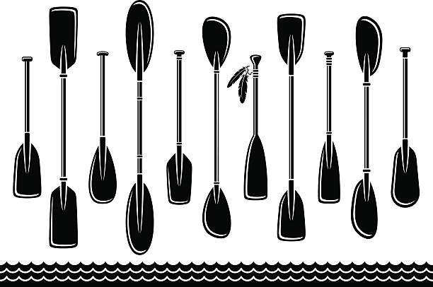 illustrazioni stock, clip art, cartoni animati e icone di tendenza di set di paddle. vettore - oar