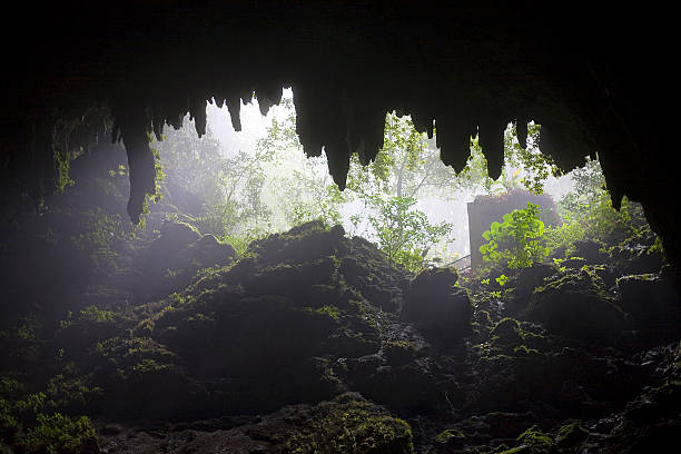 Rio Camuy Cave Park entrance stock photo