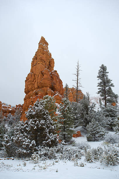 istock The fog in Bryce Canyon National Park, 538125513
