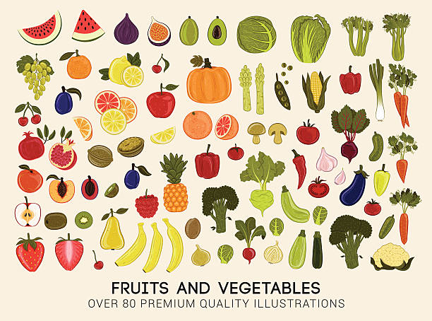 Mega collection of vector illustrations of fruits and vegetables Vector set of premium quality illustrations of fruits and vegetables of all seasons. fruit clipart stock illustrations