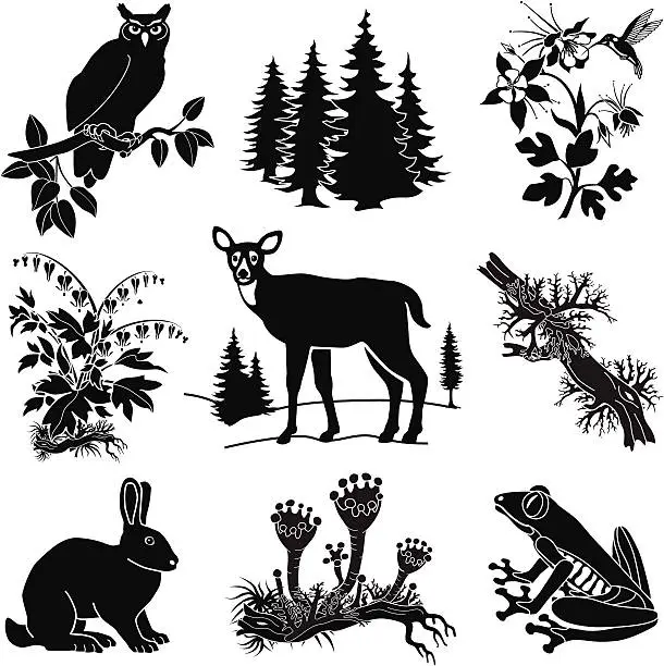 Vector illustration of vector forest wildlife set in black and white