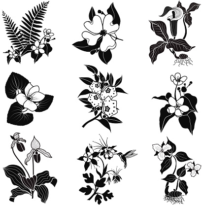 A vector illustration of a set of woodland flowers in black and white. An EPS file and a large jpg are included in this download.