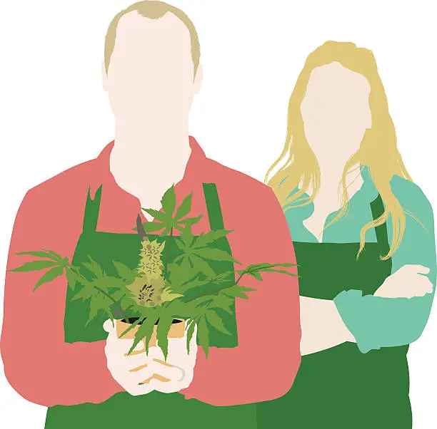 Vector illustration of Smiling couple holding marijuana plant