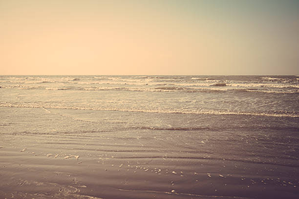 tropical sand beach vintage retro