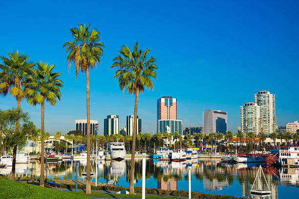 istock Long Beach downtown skyline with palm trees and Rainbow Harbor 538147091