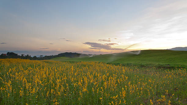 istock Silhouette of beautiful mountain 538147439