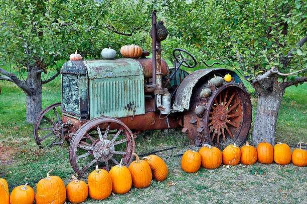istock pumpkin halloween thanksgiving okanagan valley british columbia 538147939