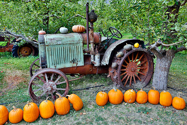 istock pumpkin halloween thanksgiving okanagan valley british columbia 538147949