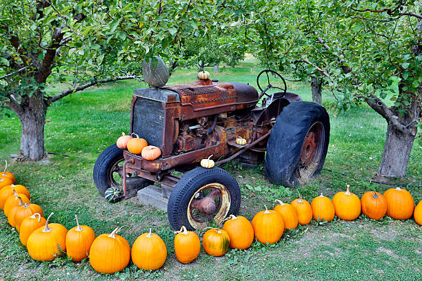 istock pumpkin halloween thanksgiving okanagan valley british columbia 538147953