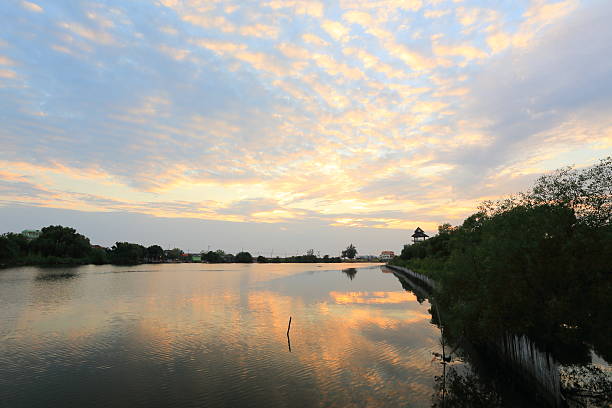 puesta de sol - sandy brown fotos fotografías e imágenes de stock