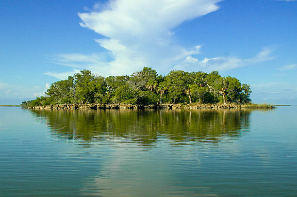 istock Desert Island Reflection in Calm water 538149079