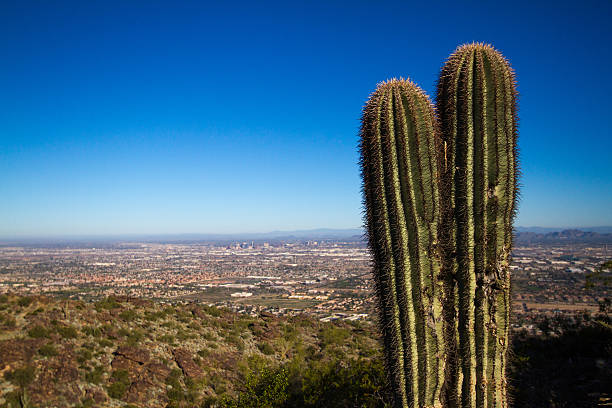 istock Panorama of the Phoenix Valley, USA 538149543