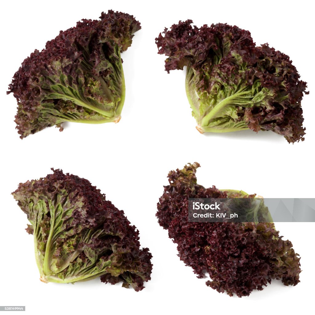 Organic red leaf lettuce collection Organic Red Leaf Lettuce isolated on white. Collection. Close-up Stock Photo