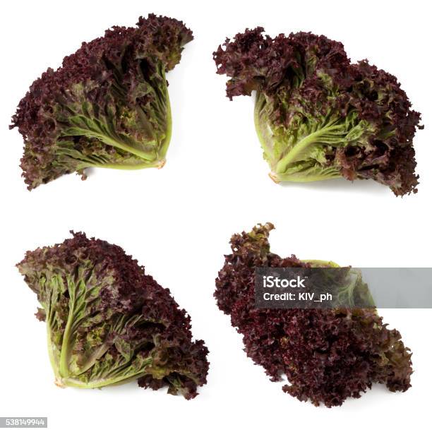 Organic Red Leaf Lettuce Collection Stock Photo - Download Image Now - Close-up, Cut Out, Dieting