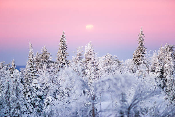 istock Winter scenery with full moon from Finnish Lapland. 538150406