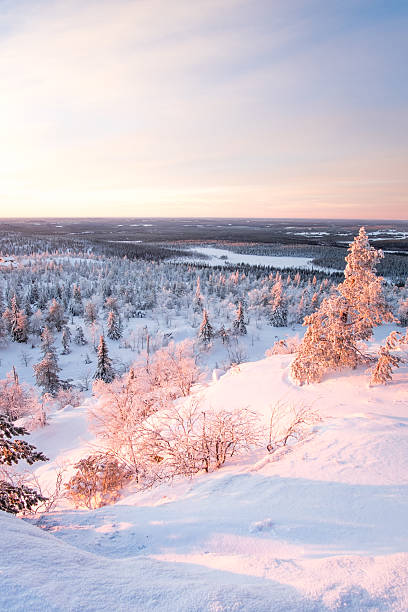 istock Winter scenery from Lapland, Finland. 538151300