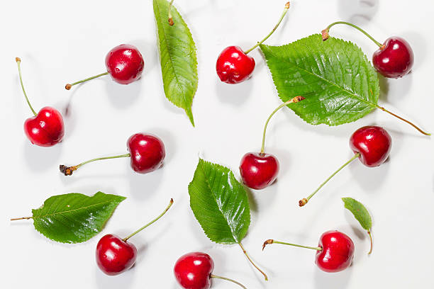 istock Composition of ripe cherries with leaves. 538152304