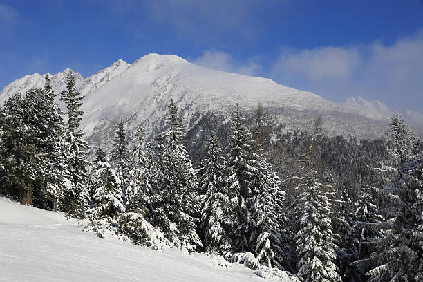 istock nice winter scene in Tatras mountains 538152568