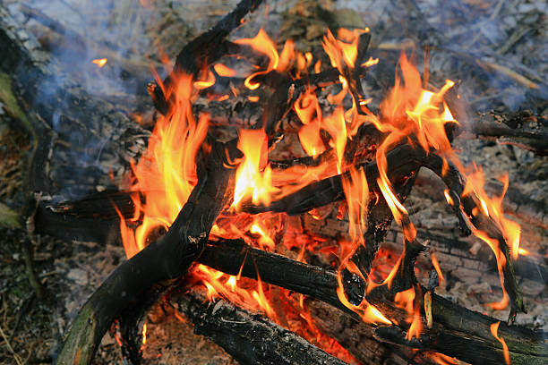 istock flame of firewood in camp fire 538153654