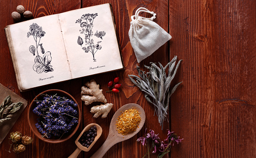 Old style botanical book with medicinal herbs.