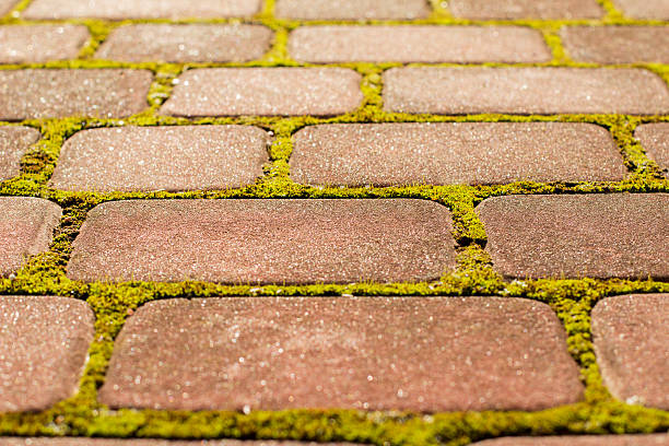 istock Brown stone block paving with moss 538155846