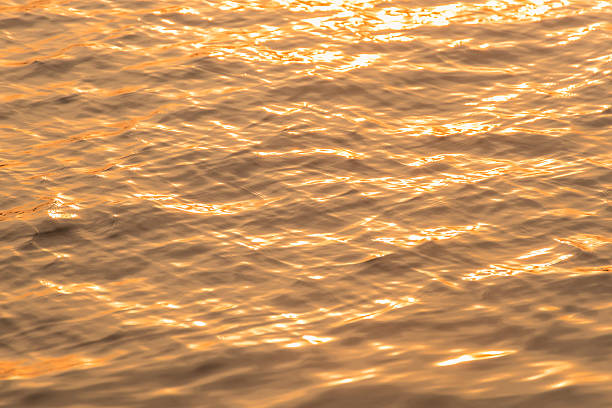 istock Texture of ripples in a river, in the golden hour. 538156084