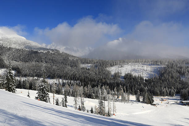 istock nice winter landscape in Tatras mountains 538158070