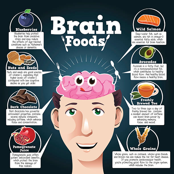 Brain Foods vector art illustration
