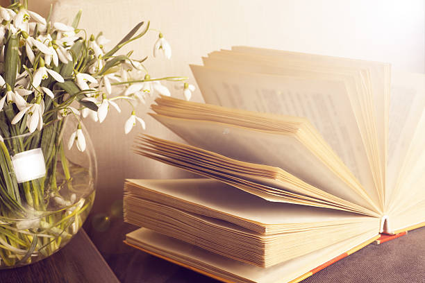 istock Open book on a pillow in bed. homeliness. 538158604
