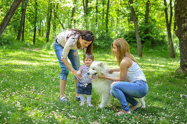 istock Two girls and baby plays with samoyed in park 538159176