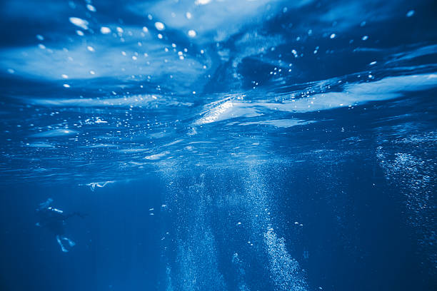istock scuba diving underwater and exploring the sea life 538159352