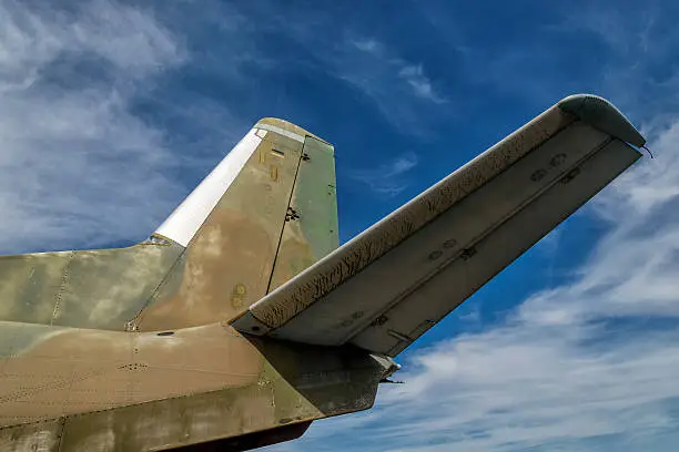 Tail unit of a cargo plane