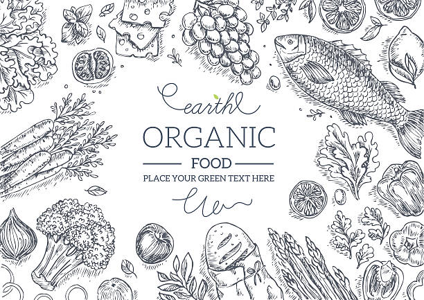illustrations, cliparts, dessins animés et icônes de cadre des légumes. graphisme linéaire. illustration vectorielle - onion vegetable food freshness