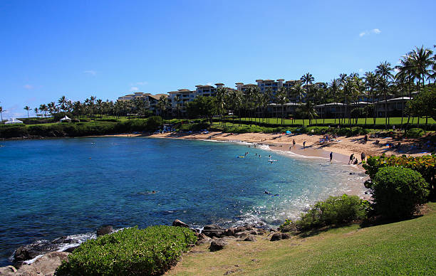 카팔루아 플라주 - napili bay 뉴스 사진 이미지