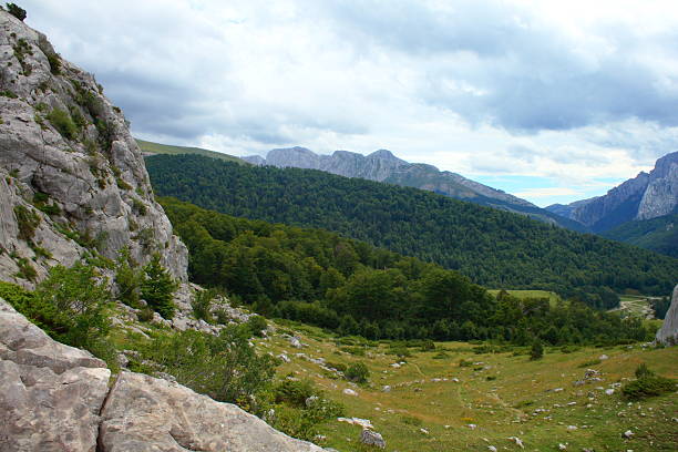 istock prairie and forest in linza, huesca province 538165427
