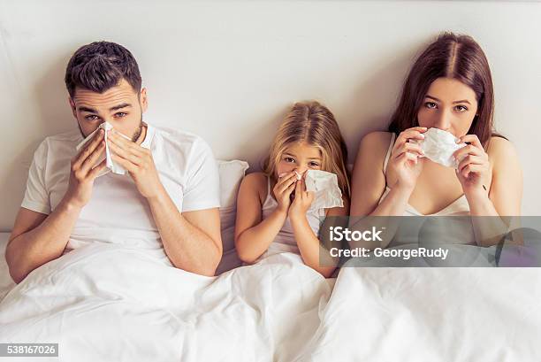 Family Having Common Cold Stock Photo - Download Image Now - Family, Illness, Allergy