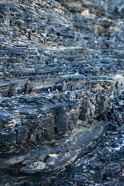 Detail of coal seam in sedimentary faces stock photo