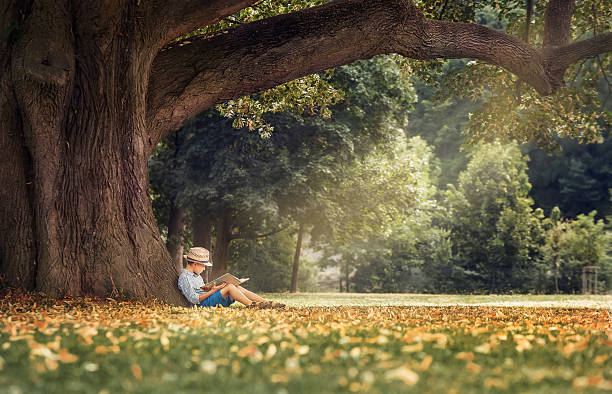 niño leyendo un libro en big linden árbol - fairy child outdoors fairy tale fotografías e imágenes de stock