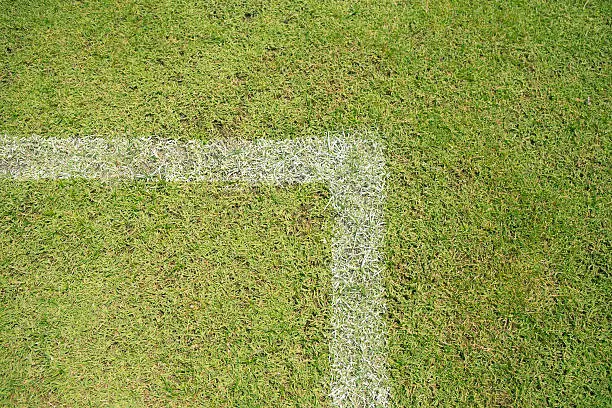 Lines on soccer field green grass / Top view