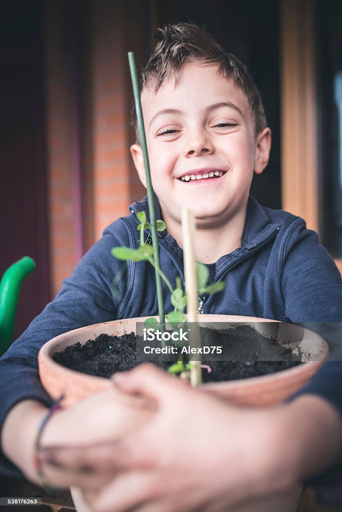 Child Caring Plant Little boy taking care of a plant in spring season 2015 Stock Photo