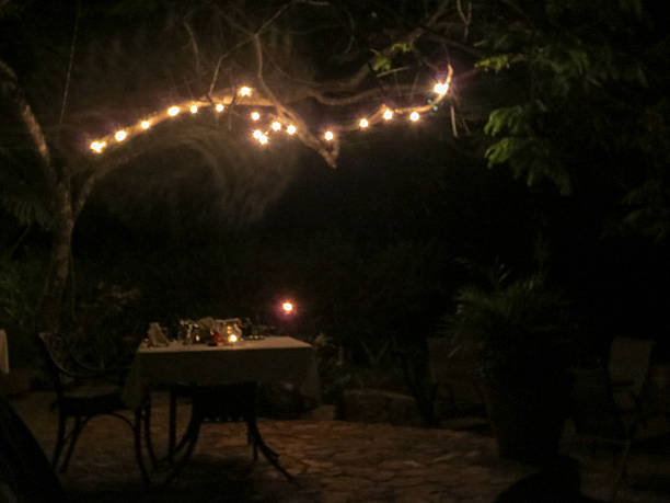 istock Romatic dinner table lit by fairy lights 538177098