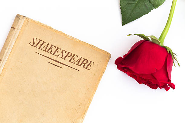 istock Old book by Shakespeare and red rose on white background 538177204