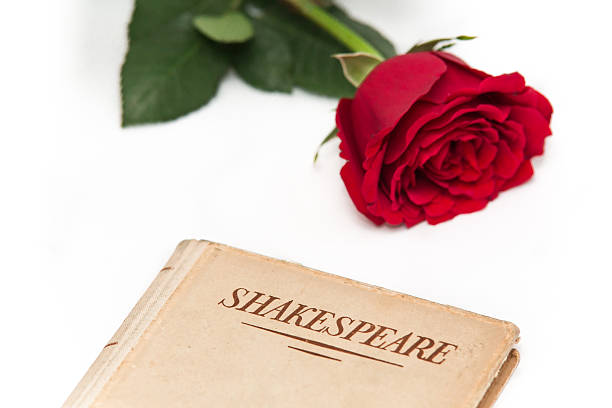 istock Old book by Shakespeare and red rose on white background 538177220